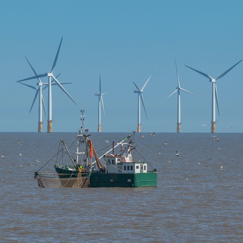 A fishing vessel stays far away from wind turbines in the North Sea